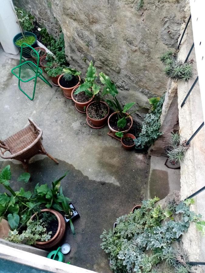 Casa Da Judiaria Velha 호텔 비세우 외부 사진