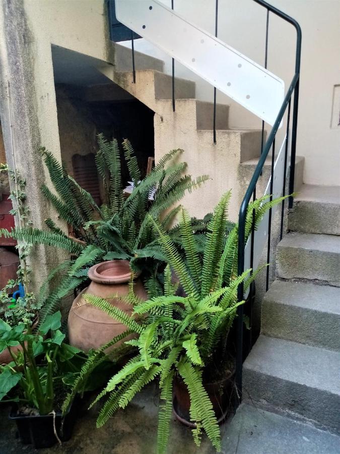 Casa Da Judiaria Velha 호텔 비세우 외부 사진