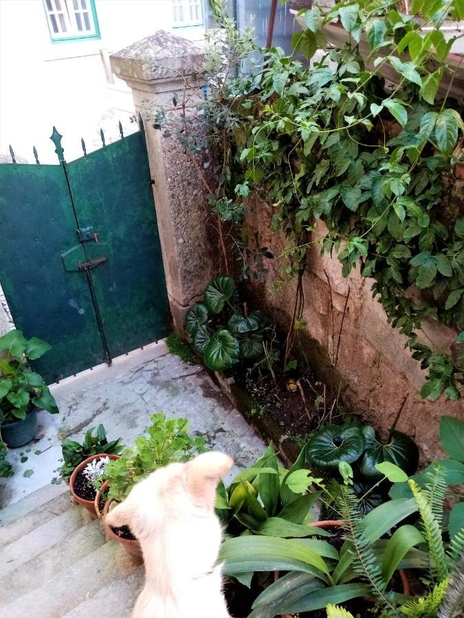 Casa Da Judiaria Velha 호텔 비세우 외부 사진