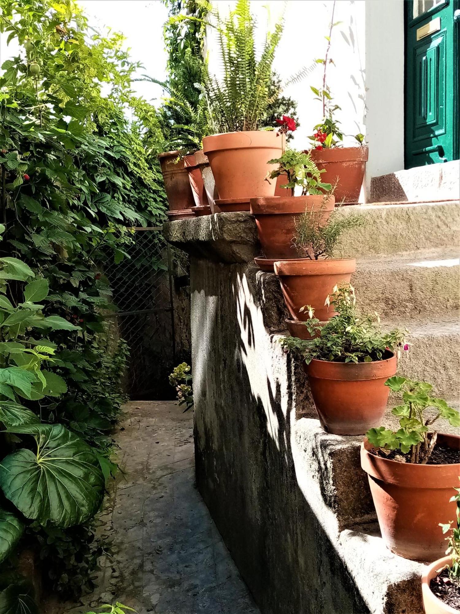 Casa Da Judiaria Velha 호텔 비세우 외부 사진